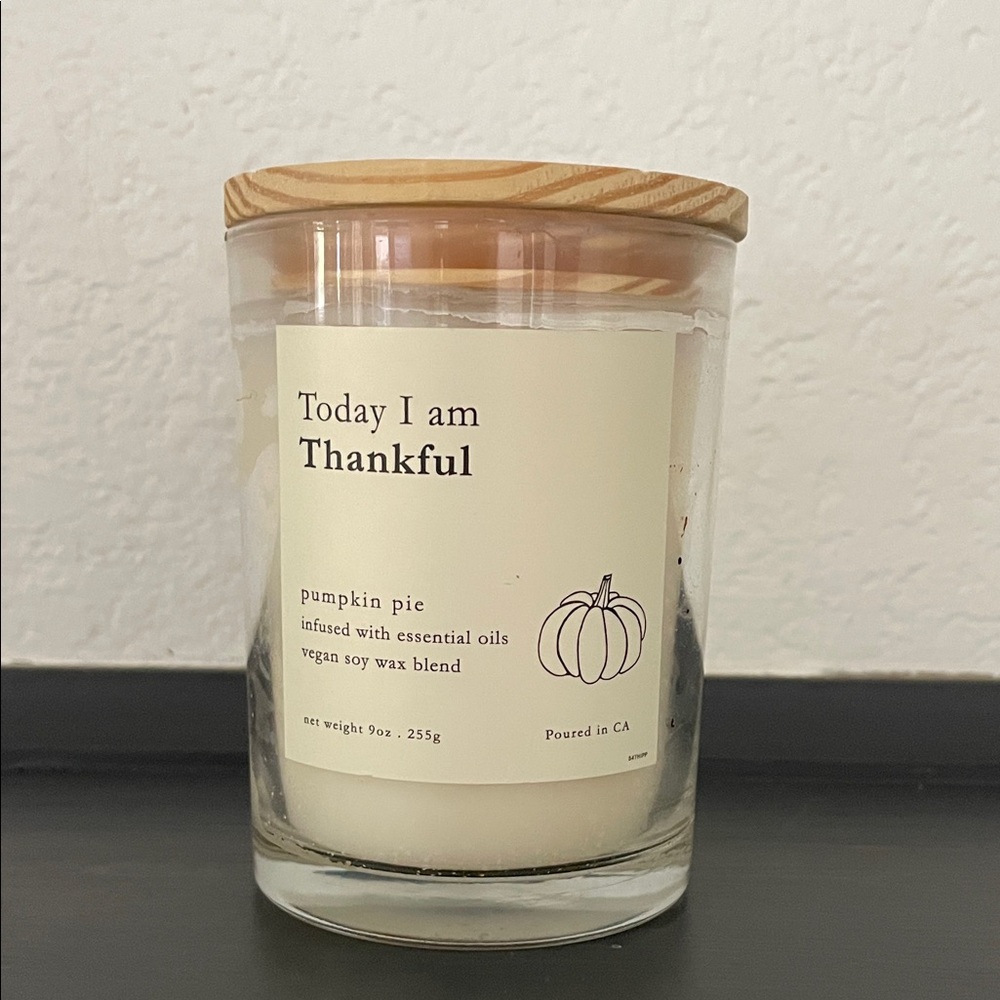 Leoben Co candle vegan soy essential oils Today I am Thankful Pumpkin Pie 9 oz